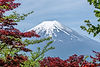 Mount Fuji