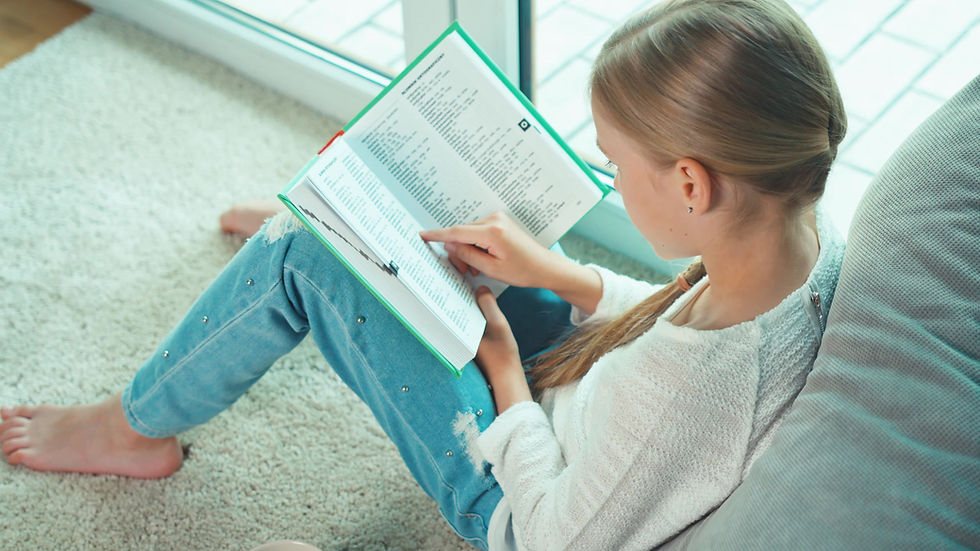 Pencere Kenarında Kitap Okuyan Kız