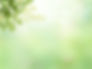 背景-新緑