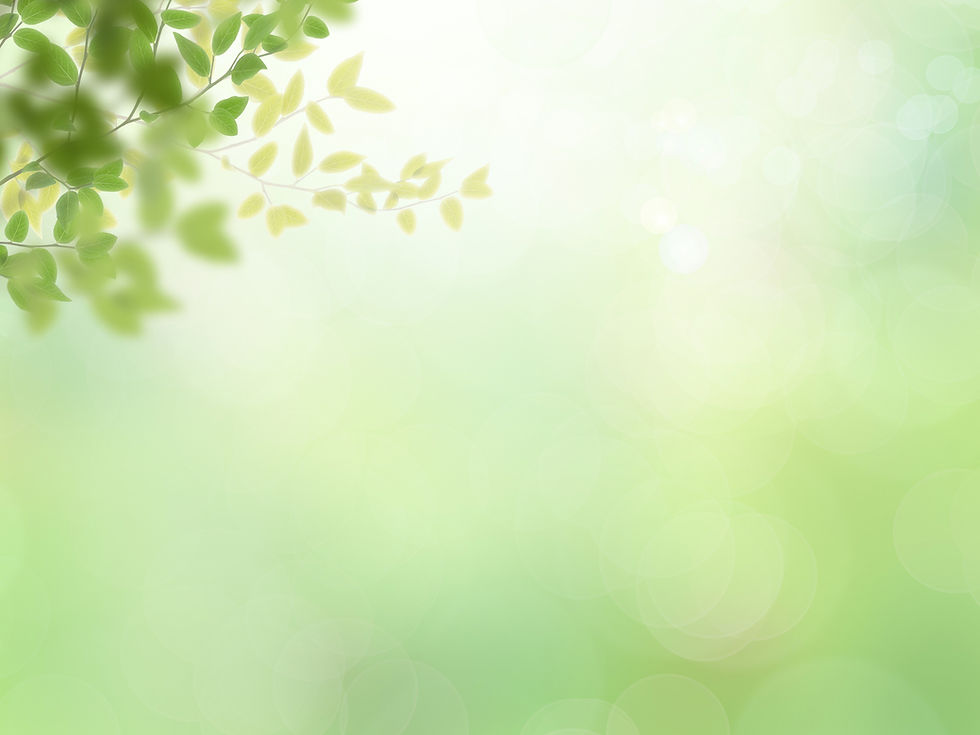 背景-新緑