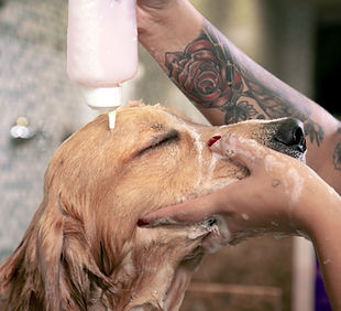 Enjoying the Wash
