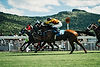 Course de chevaux