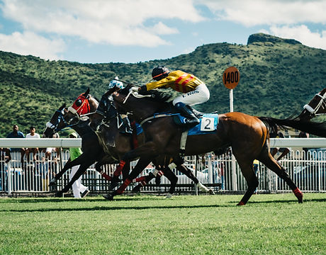 Horse Race
