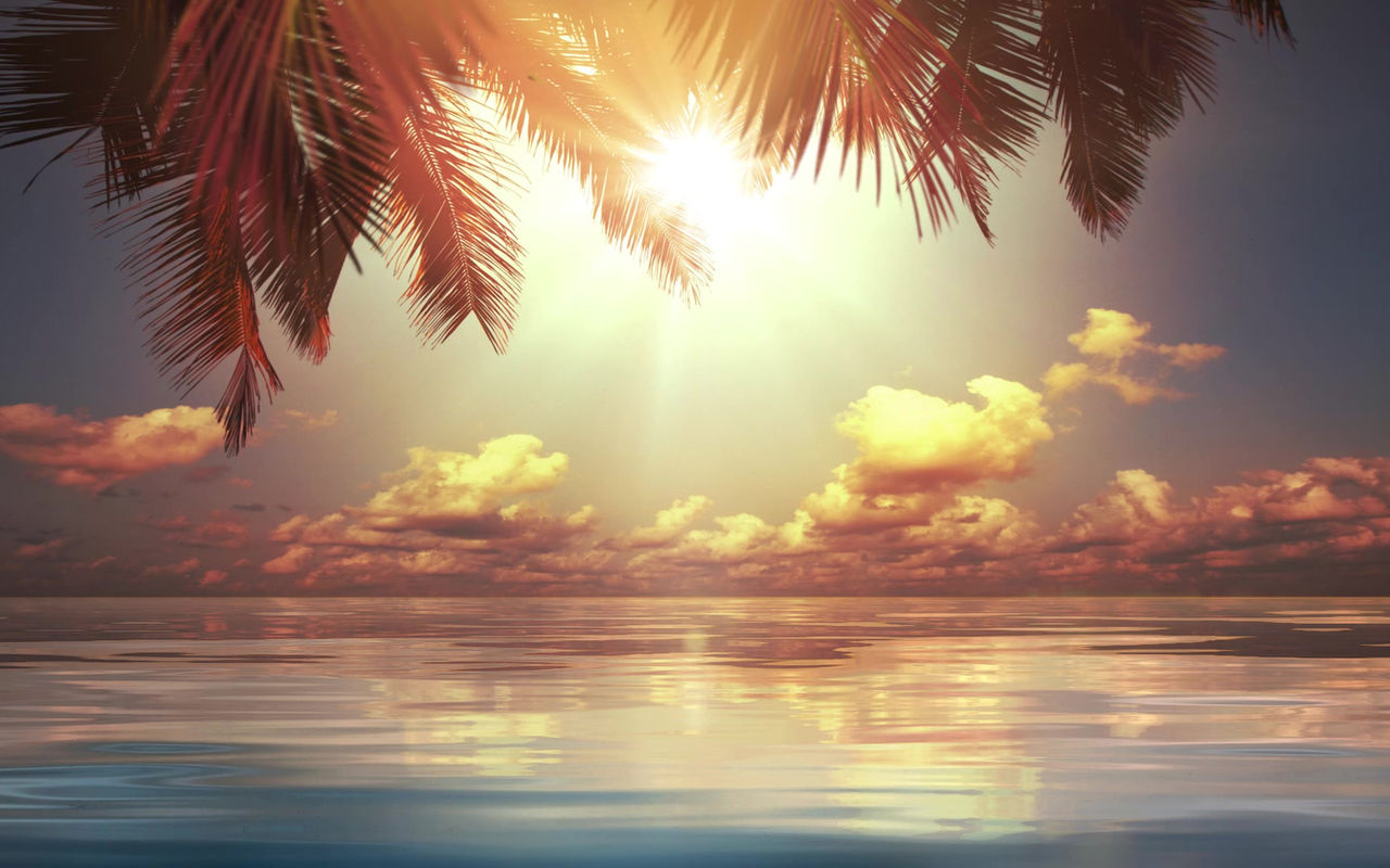 HMC Ohana - Hilo Missionary Church 1