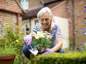 Gardening Aches & Pains