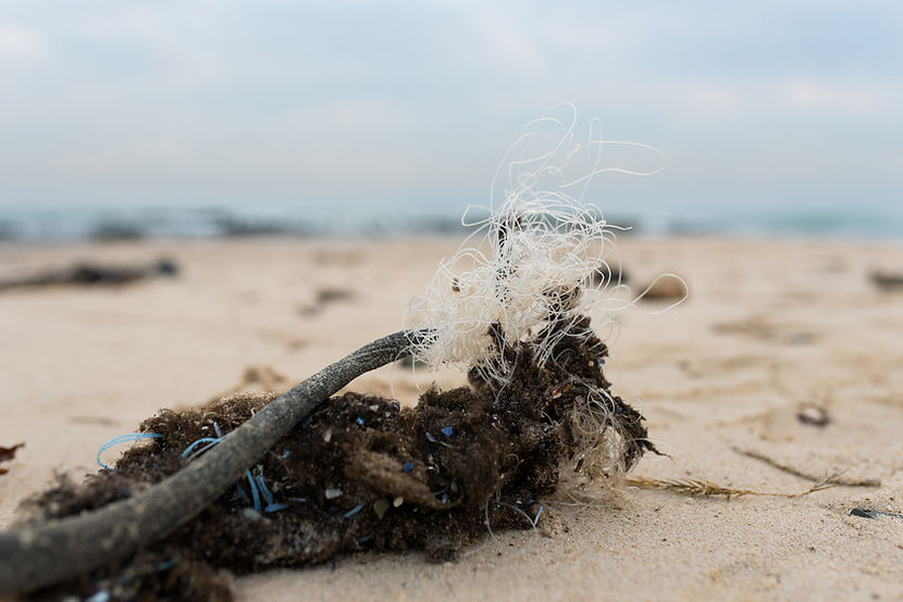 Pollution