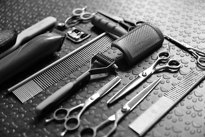 Haustierpflege-Tools