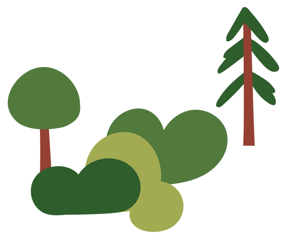 Minimalist Tree Illustration