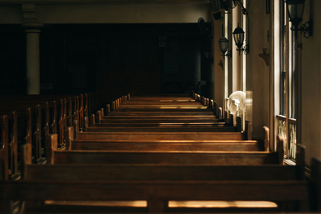 Pew Benches