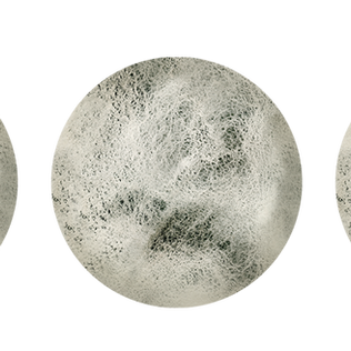 サビアンシンボル魚座