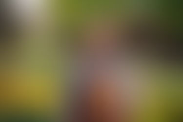 Réservez avant les autres !