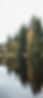 Forest Lake Reflection
