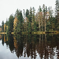Forest Lake Reflection