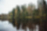 Forest Lake