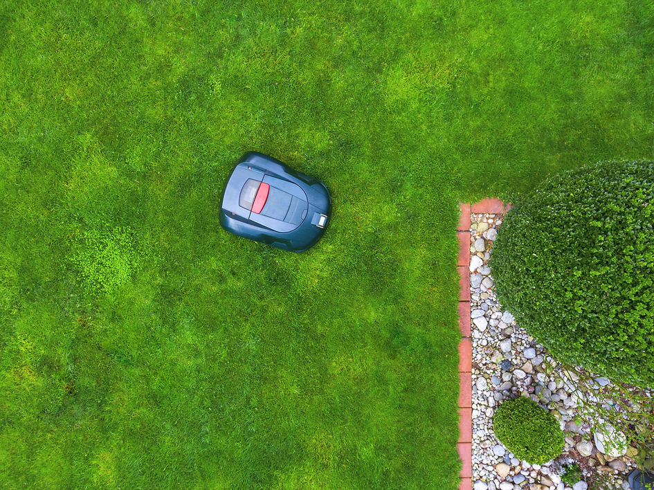 Robotic lawn mower on meadow