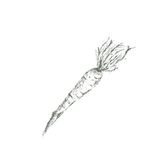 Healthy food Puerto Escondido