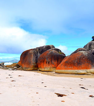Coastal Rocks