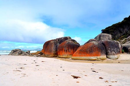 Coastal Rocks