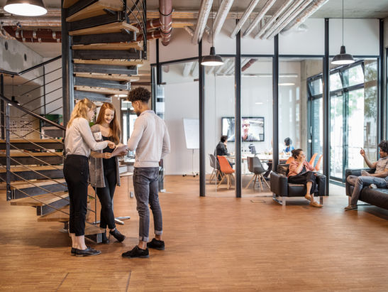 Should Every Business Have a Capability Statement?