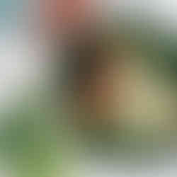 Salmon Salad Fat-Burning Recipe