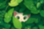 Cat Peeking Through Leaves