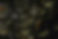 Blurry Background
