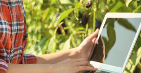 Data Protection considerations under the Covid-19 pandemic
