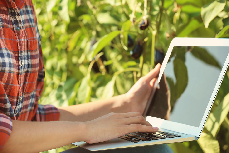 Gardening With Laptop