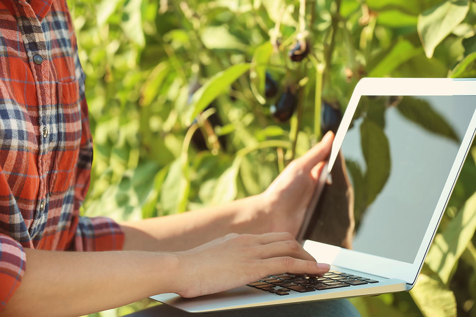 Gardening With Laptop