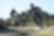 Les amateurs de VTT