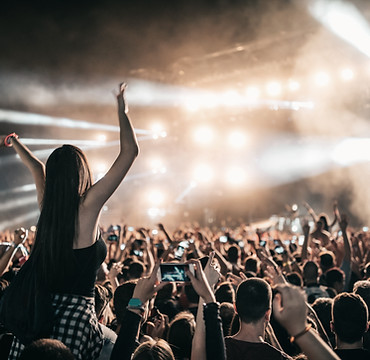 Pubblico da concerto