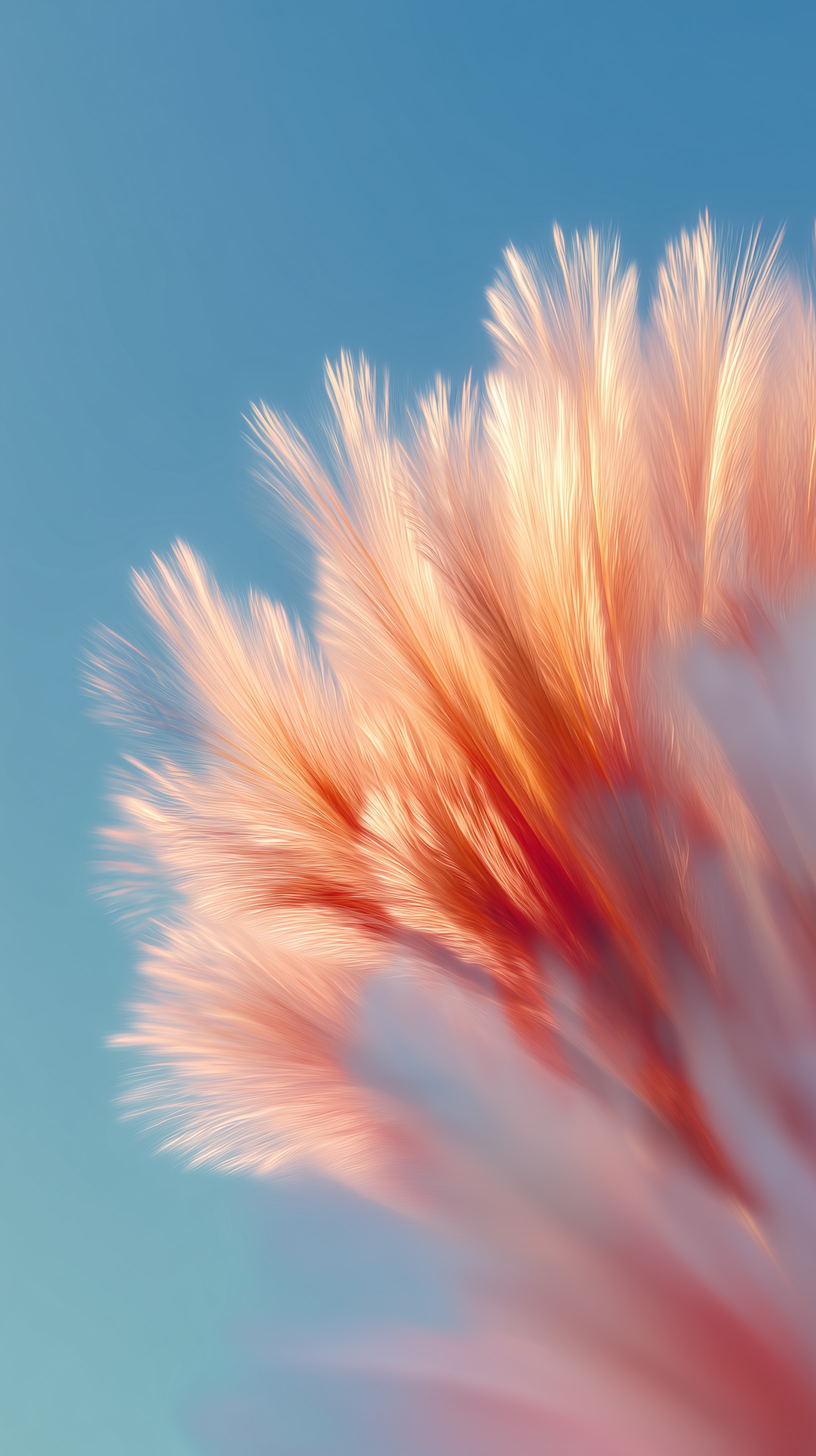 Abstract Feather Shape