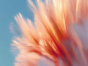     Business diagnosis for growing businesses Business growth model Business development framework Execution strategy for businesses- abstract feather shape