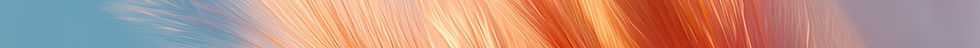 Abstract Feather Shape