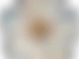 Our Values: The Principles That Guide Our Work