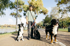 Obedience and Training