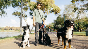 Trails and Tails: Dog-Friendly Hiking Trails and Outdoor Adventures in the Dallas-Fort Worth Area