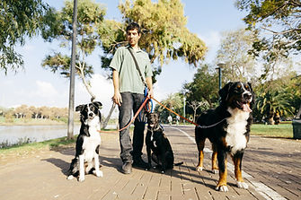 Dog Walker