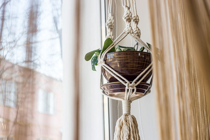 Macrame Plant Hanger