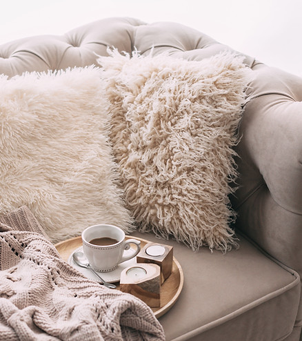 Cozy Living Space