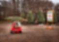 Christmas Tree Pick Up
