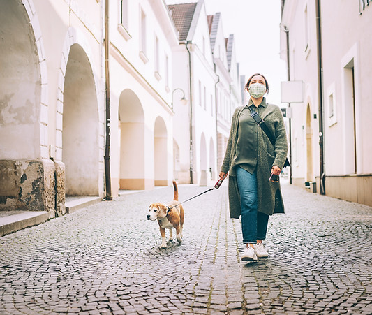 Walking the Dog