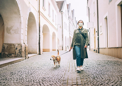 Walking the Dog