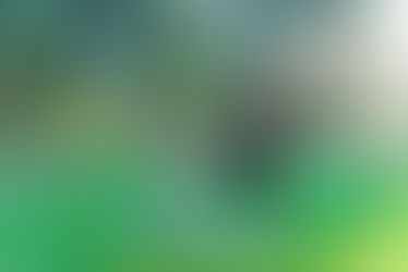 The Power of Physical Balance: The Secret to a Stronger, Healthier You