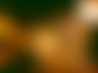 A Gin-Fuelled Conversation About Sex