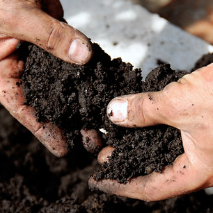 Vente de terre végétalisée pour votre jardin ou votre gazon Topo & Co France