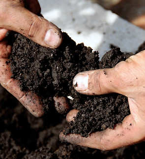 Black Soil