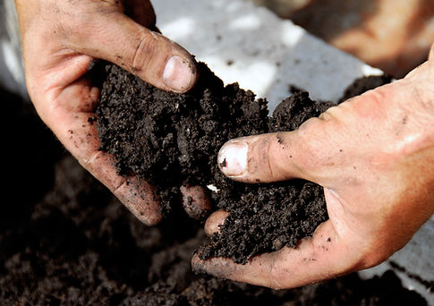 Black Soil