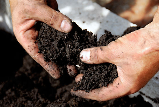 Black Soil