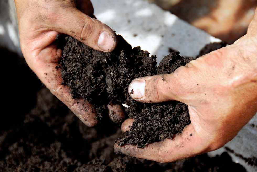 Hands Holding Soil